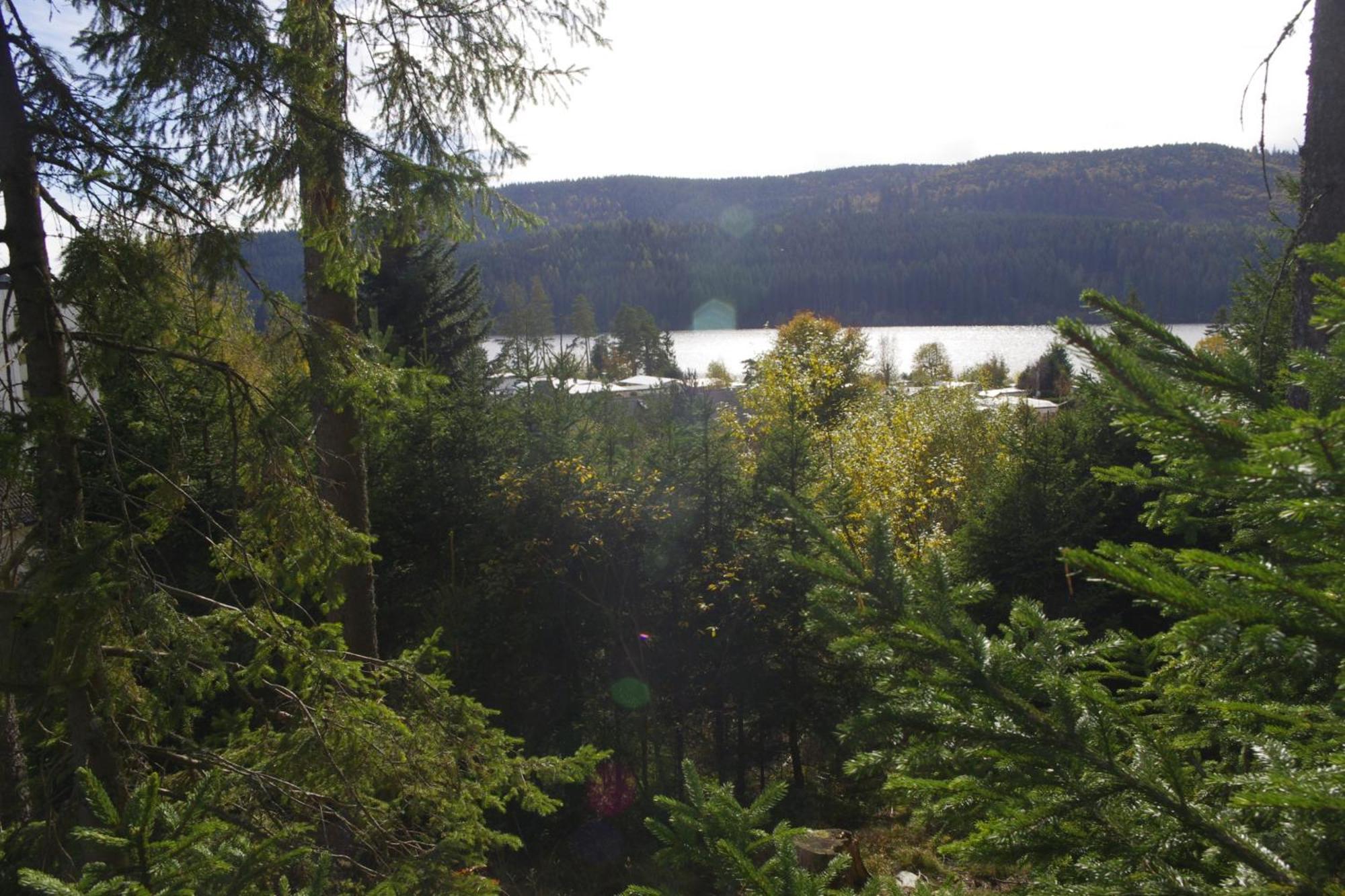 Villa Schwarzwald Schluchsee Exterior photo